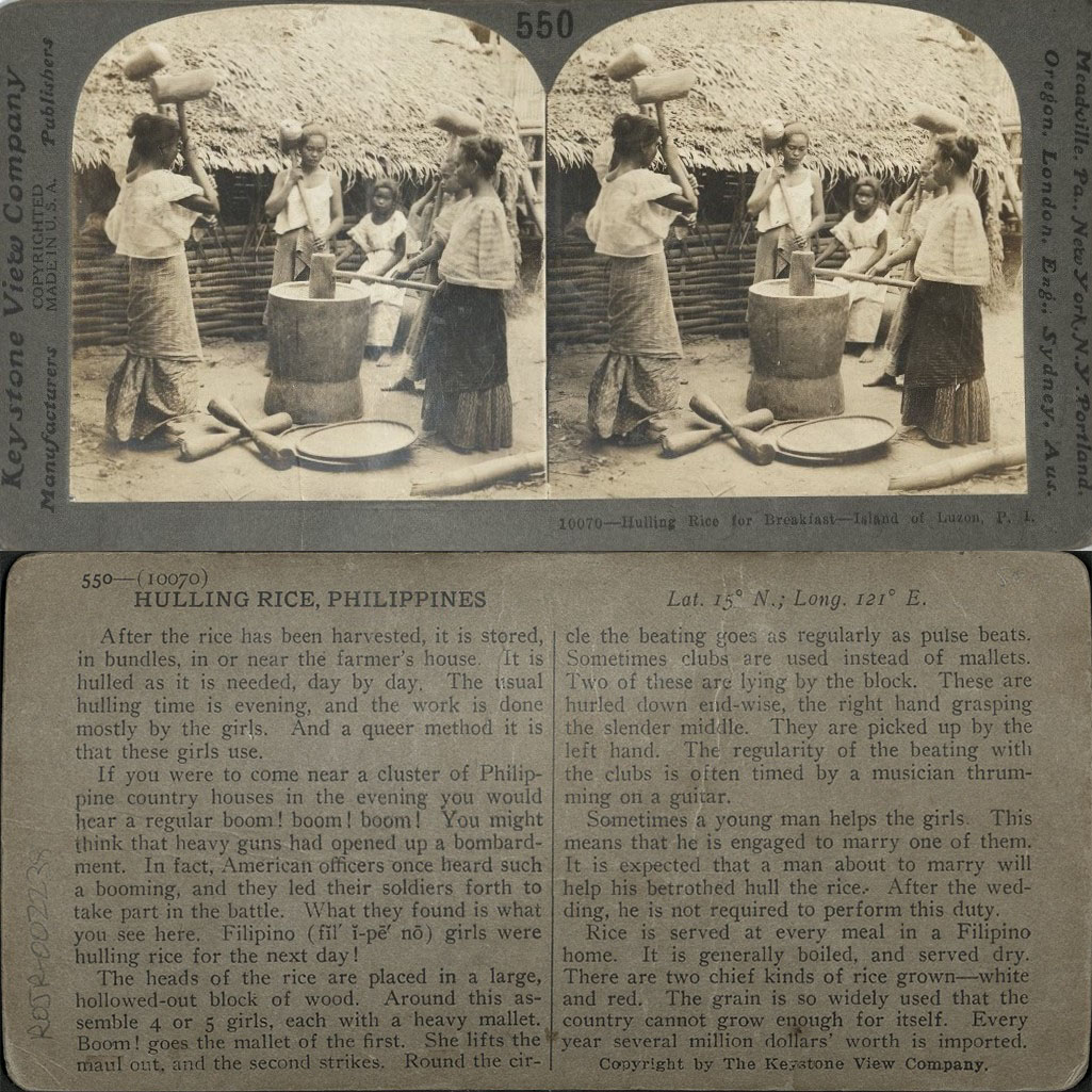 Hulling Rice for Breakfast, Island of Luzon, P. I.